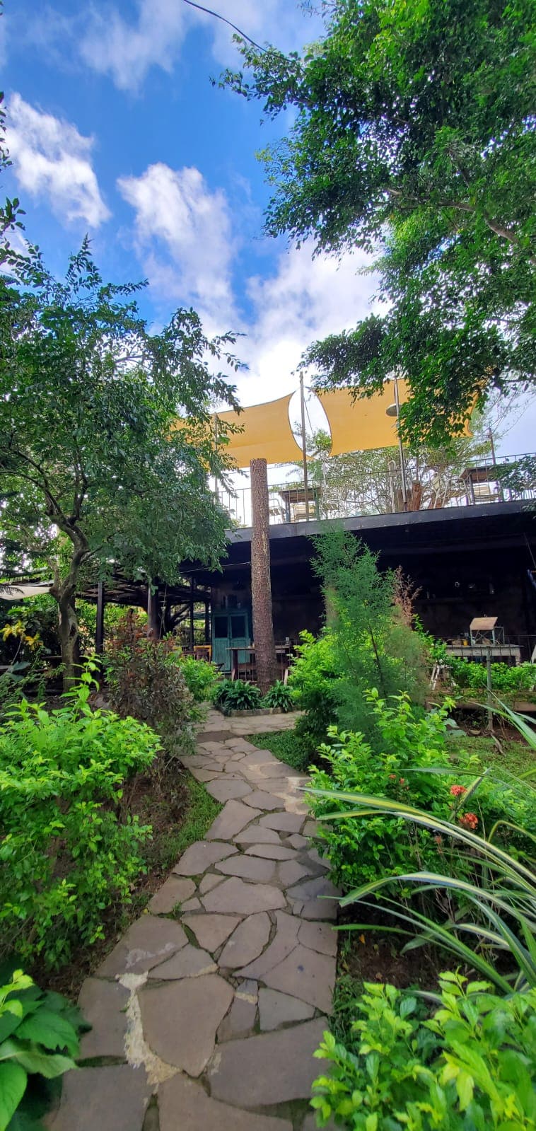 Simmer Garden